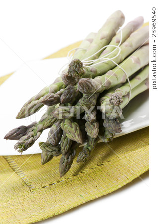 asparagus asparagus 23969540