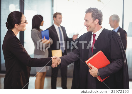 Businesswoman shaking hands with lawyer 23972193