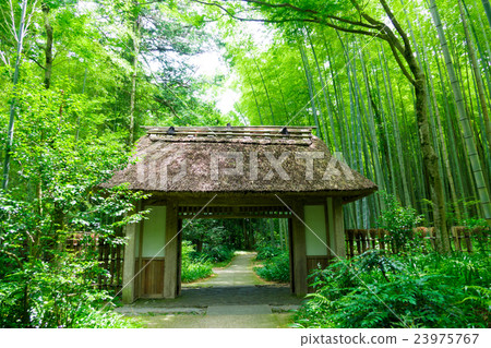 The thatched roof gate The thatched roof gate 23975767