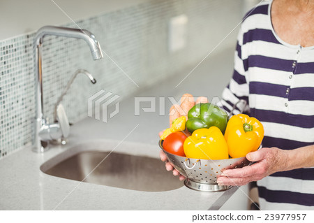 Midsection of senior woman holding colander with vegetables 23977957