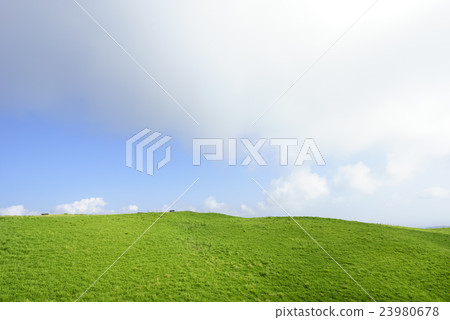 Beautiful contrast between blue sky of fine weather and fresh green of Aso prairie 23980678