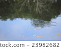Water surface 23982682