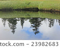 Water surface 23982683