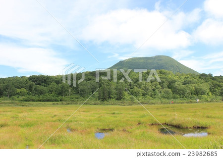 Raised bog Raised bog 23982685