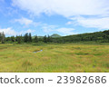 Raised bog 23982686