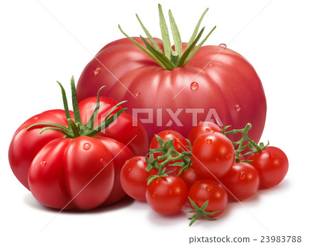 Heirloom ribbed tomatoes, three cultivars, paths 23983788