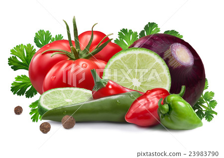 Ingredients for salsa roja sauce, clipping paths Ingredients for salsa roja sauce, clipping paths 23983790
