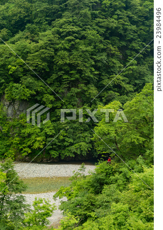 Kurobe Gorge Railway _ Buddha Stone Kurobe Gorge Railway _ Buddha Stone 23984496