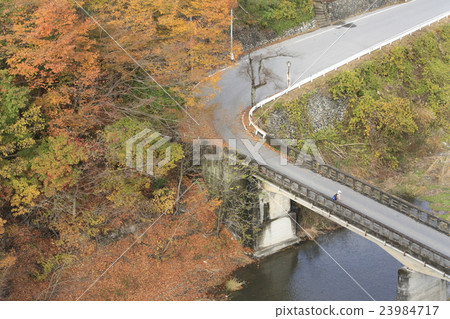 View from autumn Chichibu Harp Bridge 23984717