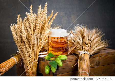 glass of beer and raw material for beer production glass of beer and raw material for beer production 23985909