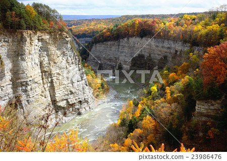Autumn scene of river and forest 23986476
