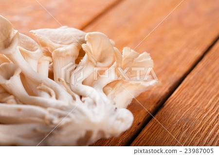 Detail of healthy Oyster mushroom placed Detail of healthy Oyster mushroom placed 23987005