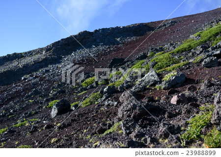 從富士山的視圖 23988899