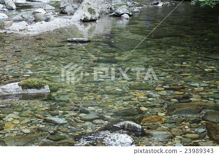 Iwataka Gorge的綠色,清澈的溪流,岩石的皮膚 Iwataka Gorge的綠色,清澈的溪流,岩石的皮膚 23989343