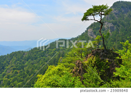 Road leading to Hotokenji Road leading to Hotokenji 23989848