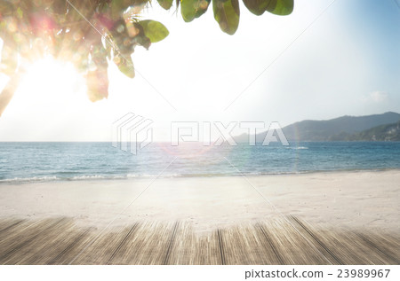 summer dream beach loney sand beach 23989967