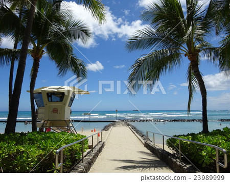 Waikiki Beach Waikiki Beach 23989999
