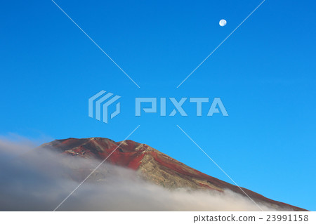 Summer Fuji and the moon 23991158