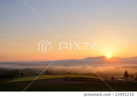 富良野 富良野 23991218