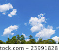 藍天和森林 23991828