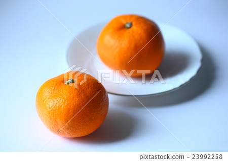 冬季食品配料溫州橘子 23992258