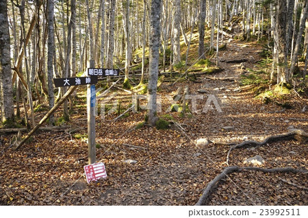 大內秩父的朝日通行證 大內秩父的朝日通行證 23992511