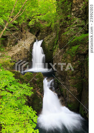 淡水落下 淡水落下 23992803