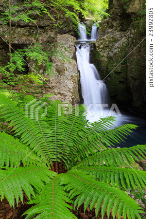 淡水落下 淡水落下 23992805