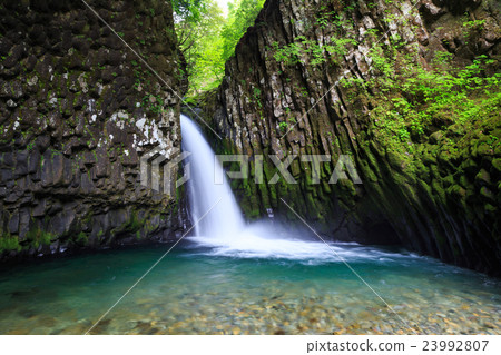 Karatadori Furugana 23992807