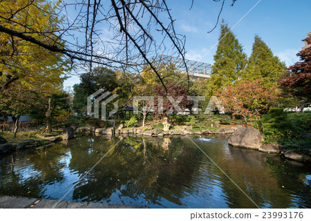 Yokocho Town Park Yokocho Town Park 23993176