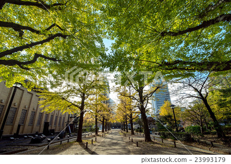 Yokocho Town Park Yokocho Town Park 23993179