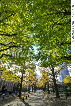 Yokocho Town Park 23993180