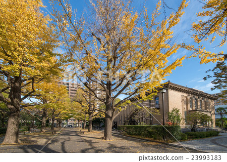 Yokocho Town Park 23993183