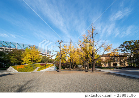 橫町町公園 23993190