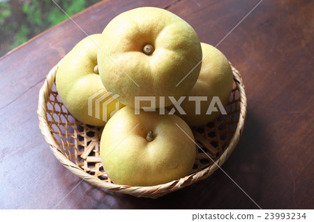 Pear Tamagawa Pear Pear Tamagawa Pear 23993234