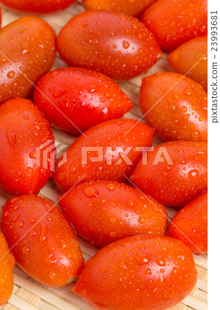  Mini Tomato 23993681