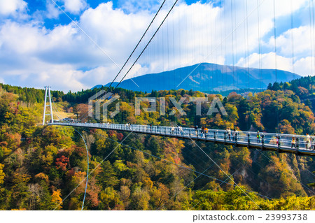 Kuju Yumeji吊橋秋葉 23993738