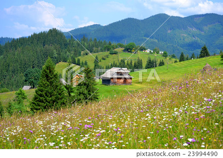 Wooden cottage in the mountains of Carpathians Wooden cottage in the mountains of Carpathians 23994490