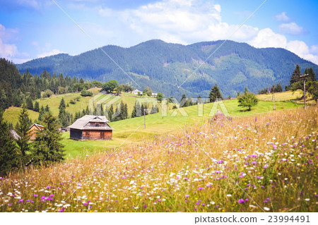 Wooden house in the mountains of Carpathians Wooden house in the mountains of Carpathians 23994491