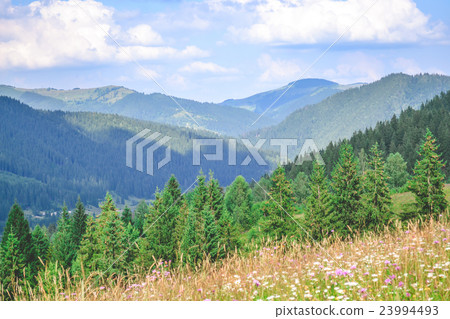 landscape Carpathian Mountains landscape Carpathian Mountains 23994493