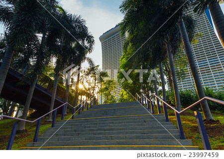 Gardens By The Bay, Singapore 23997459