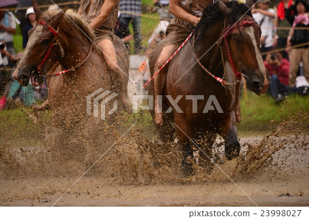 Mita festival 23998027