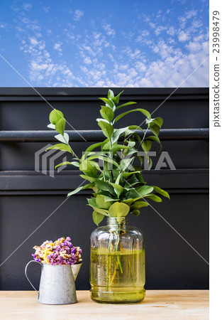 Dried flowers in a zinc bucket and plants vase  23998479