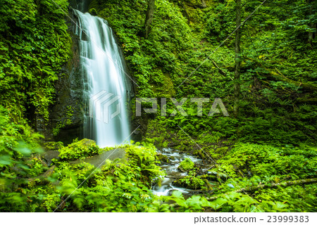 Oirase小河在Yunii落 23999383