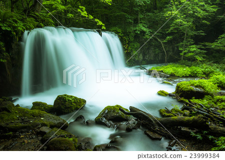 Oirase Stream Choshi Otaki Oirase Stream Choshi Otaki 23999384