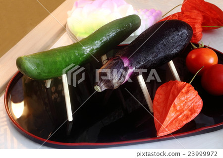 Bon novel offering Bon novel offering 23999972