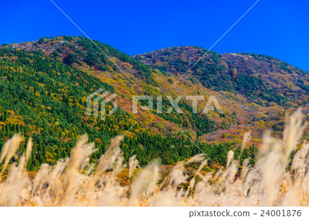 Kuju Buddha Gatu · Dute Ryo Autumn leaves and Suzuki Kuju Buddha Gatu · Dute Ryo Autumn leaves and Suzuki 24001876