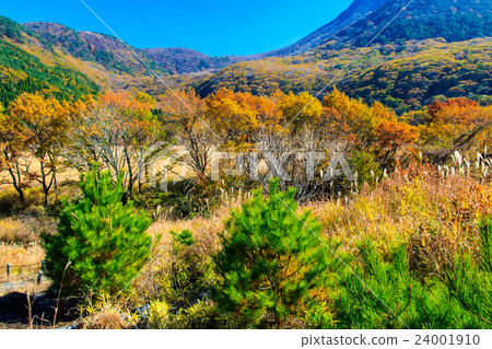 Kuju Buddha Gatu·Dute Ryo秋葉和鈴木 24001910