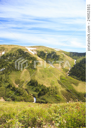 The early summer 's winding spirit from the previous winding machine Niigata Prefecture Minamiuonuma city 24002881