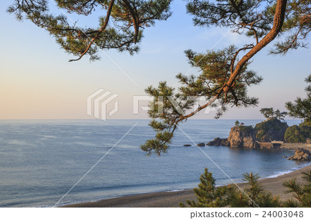 Morning Keihin Kochi Prefecture Kochi City Uragado 24003048